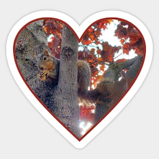 Love Squirrels Sticker